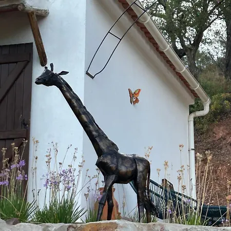 Hébergement de vacances Quinta Da Cortiça