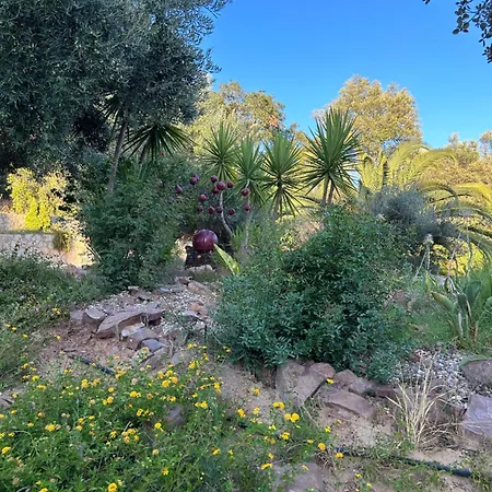 Quinta Da Cortiça *